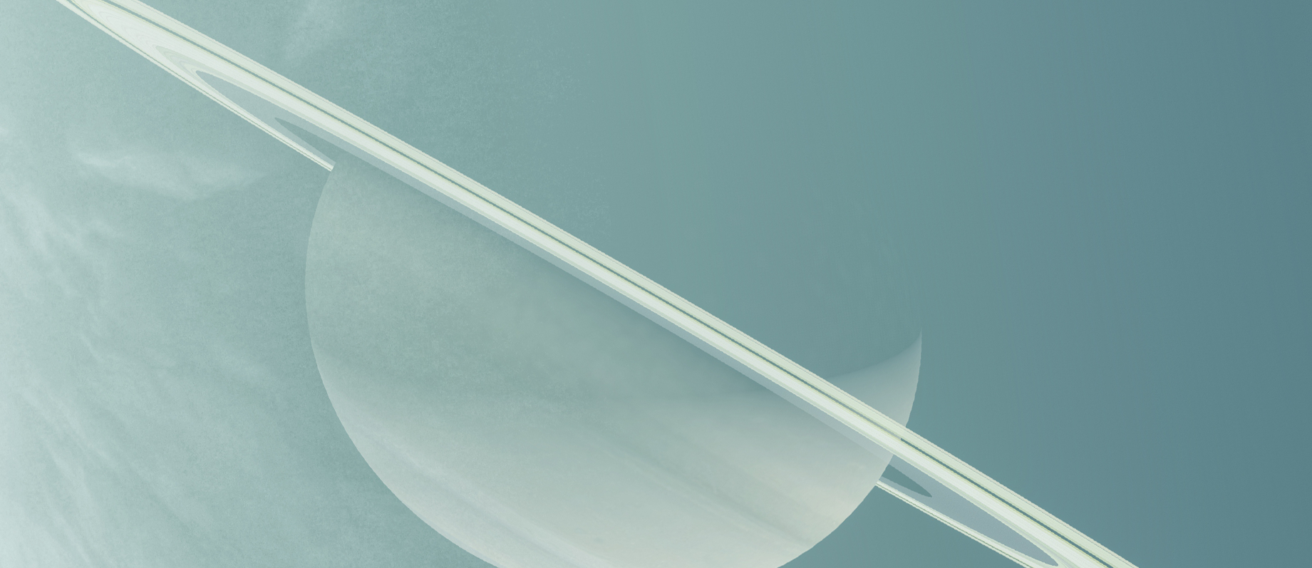 The Laparoscopic Vet