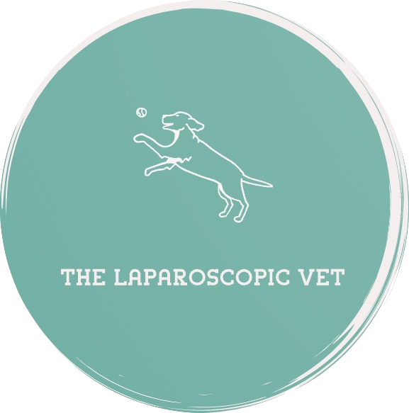 The Laparoscopic Vet